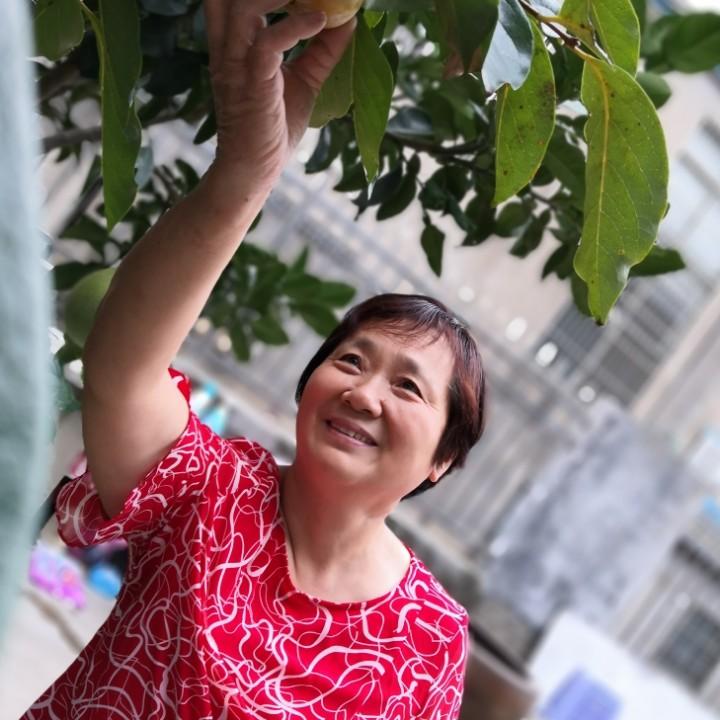 天天开心