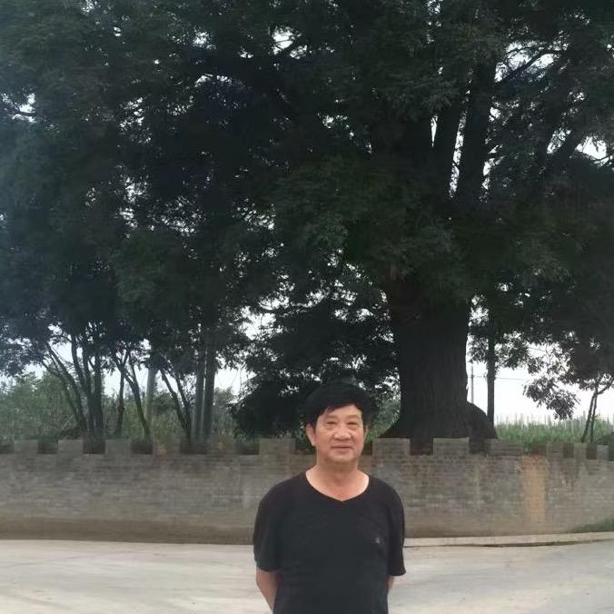 自由飞翔