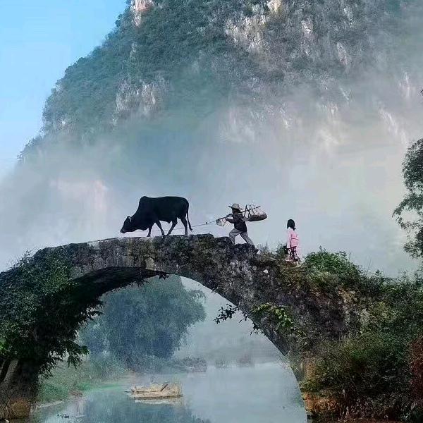 老毛