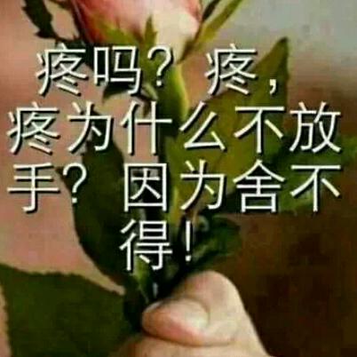 逝去的青春