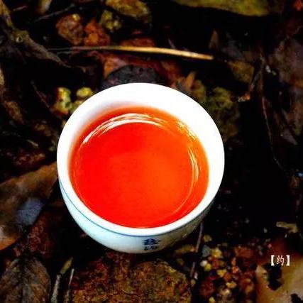 景庄岩茶厂