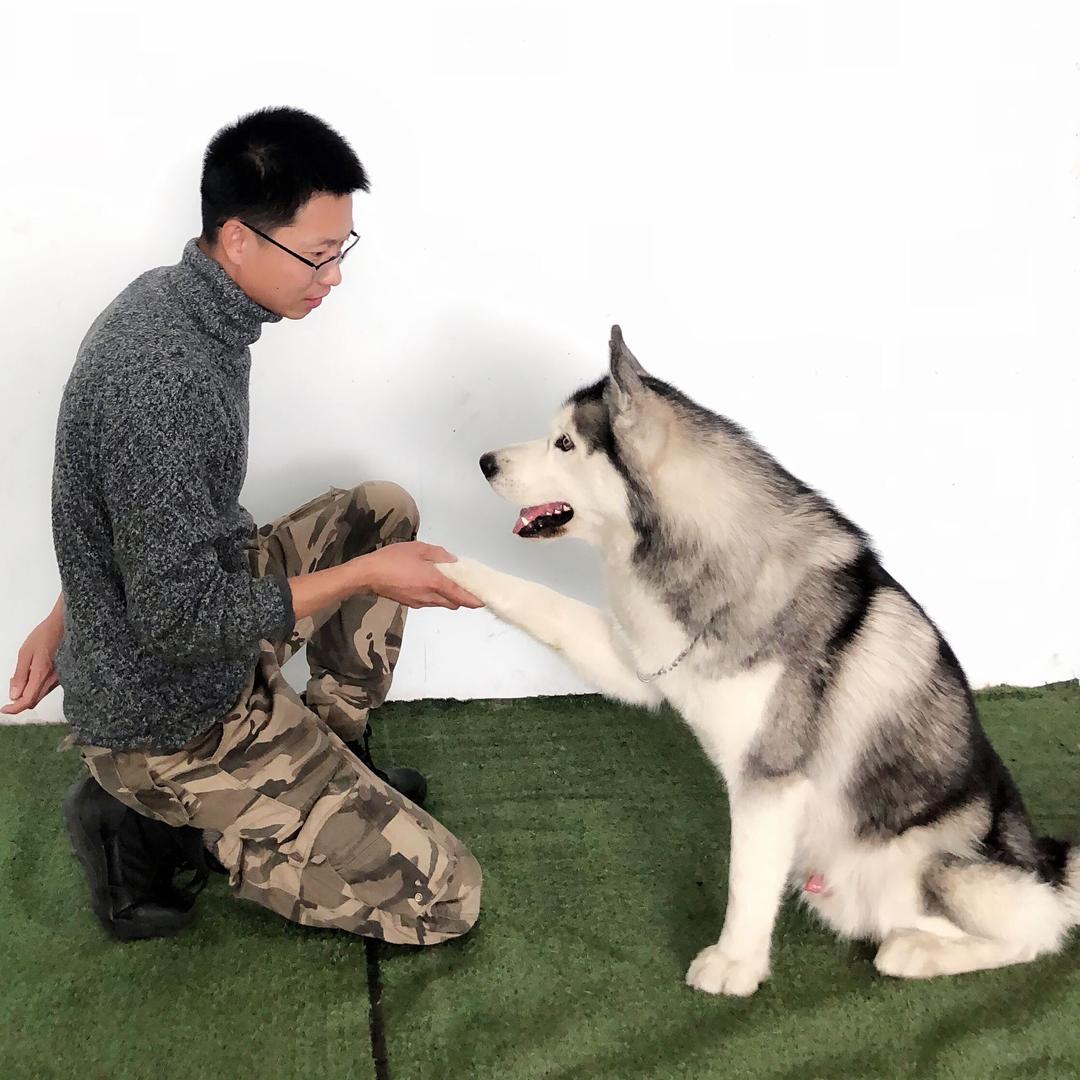 训犬师培训—明宇