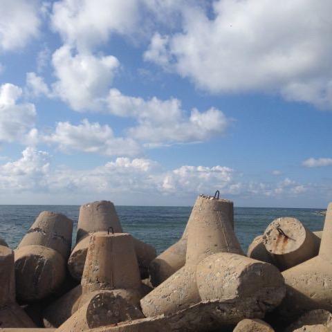 领航游艇海钓官方号