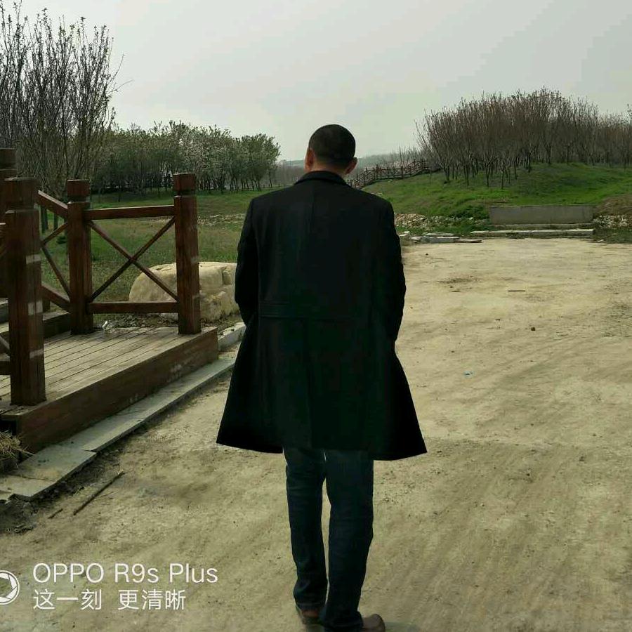 陈高见巜货运》