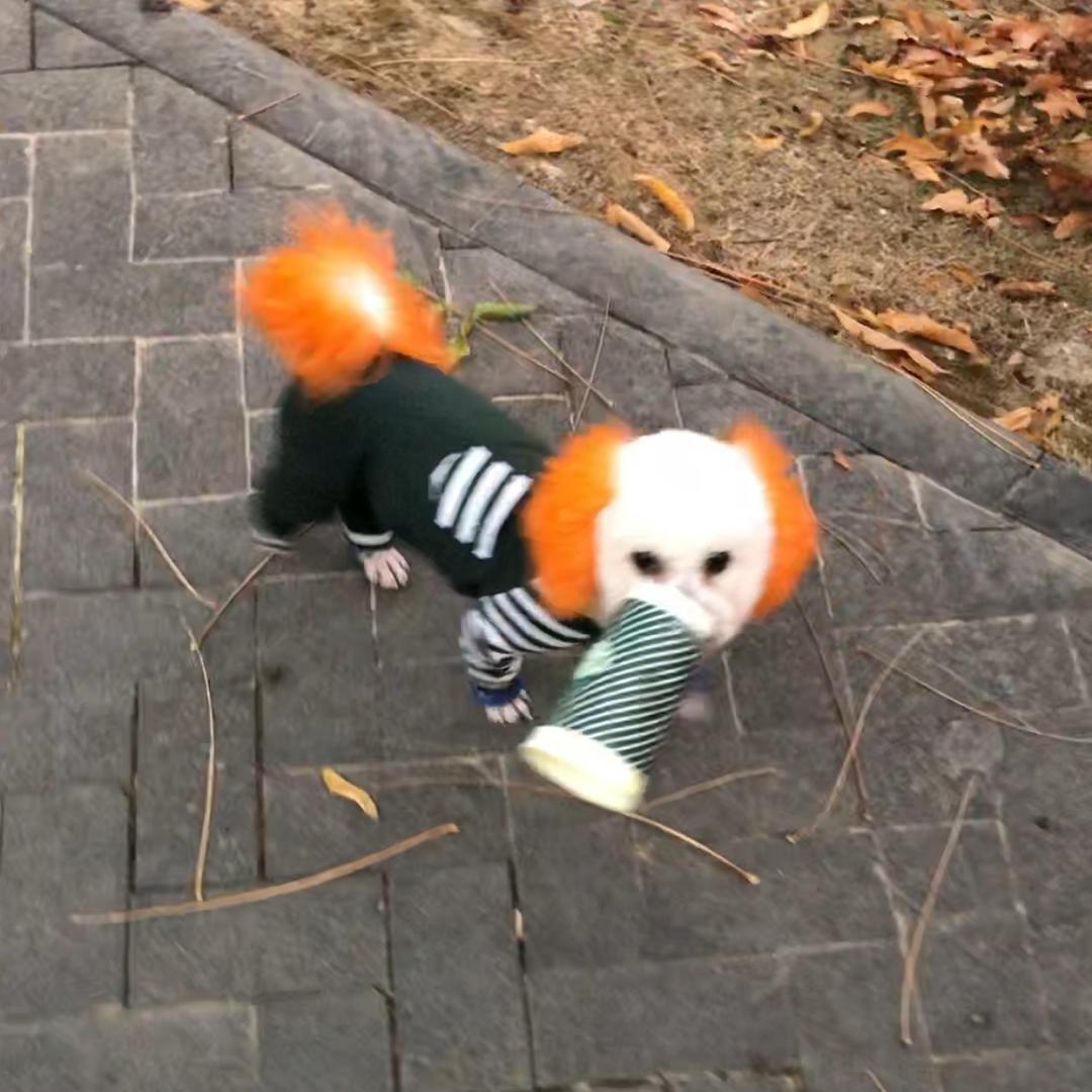 妞妞¥仔仔 ！