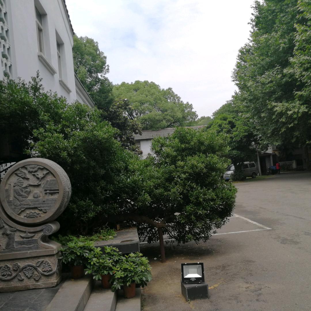 闲云公子