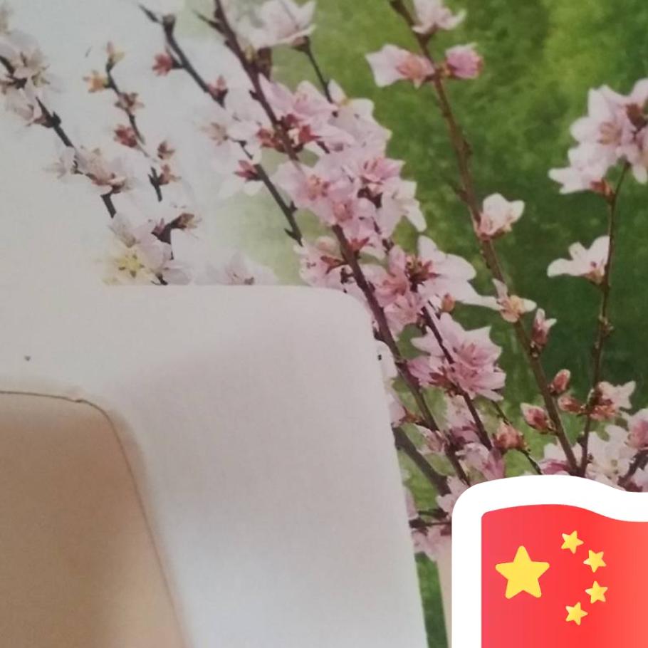 电脑，好玩游戏