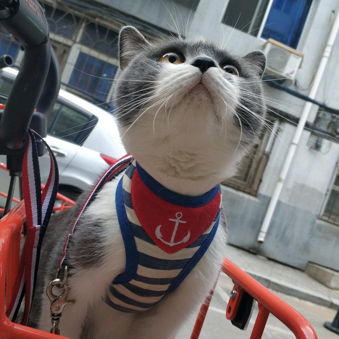 叫我奋莹莹