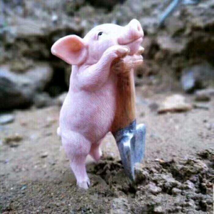 一梦一青春