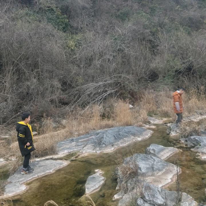 进～哥