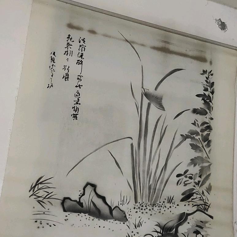 开心果