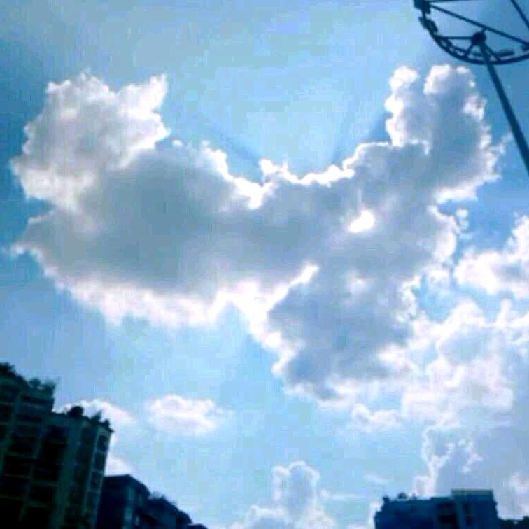 仰望星空的人