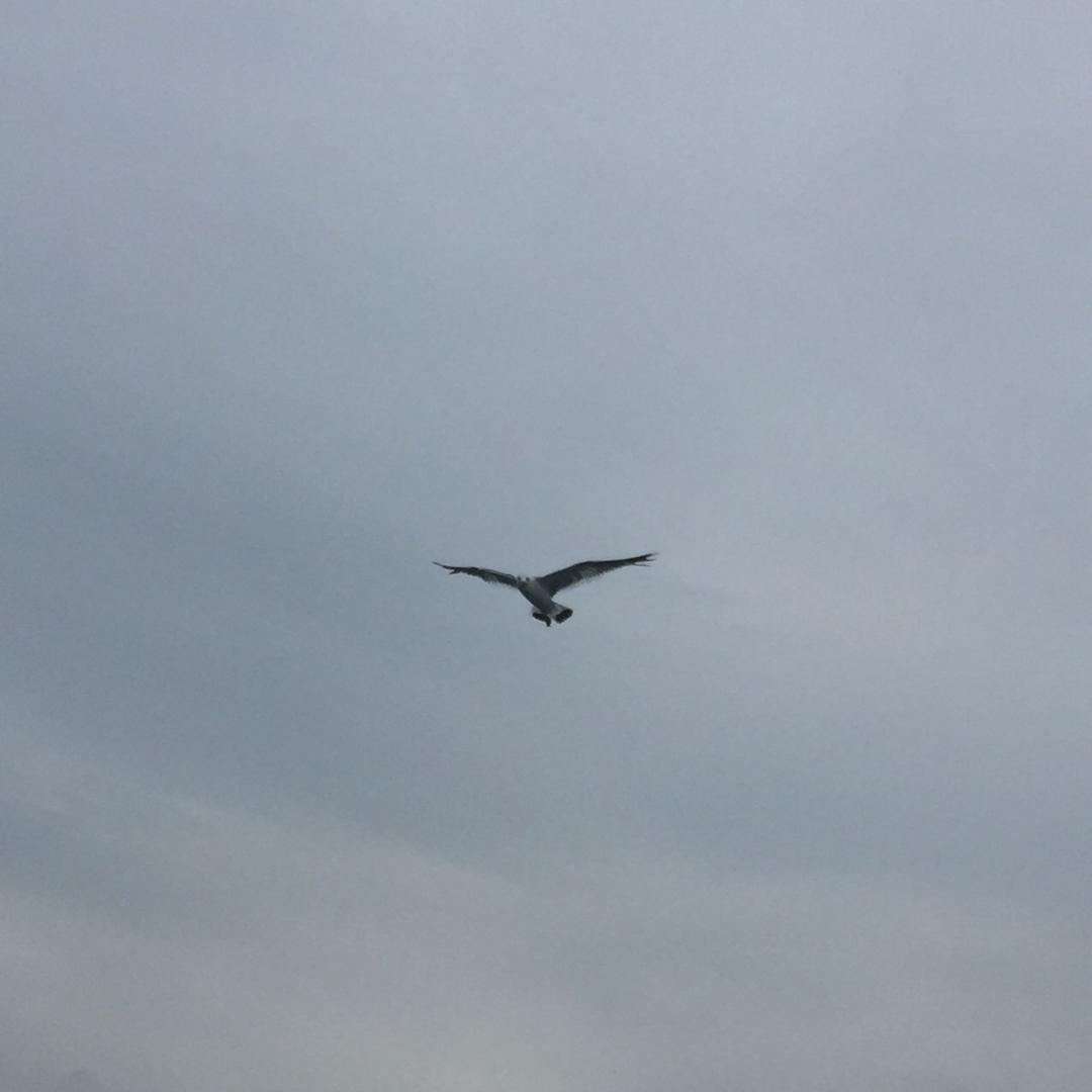 一直都在