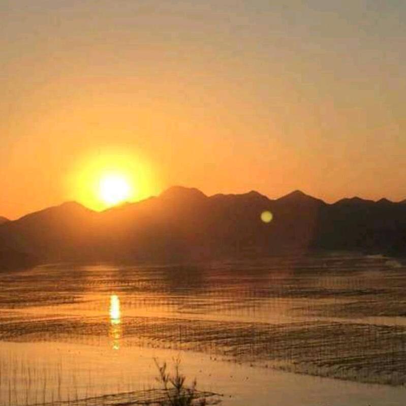 宁国市利景苗圃场