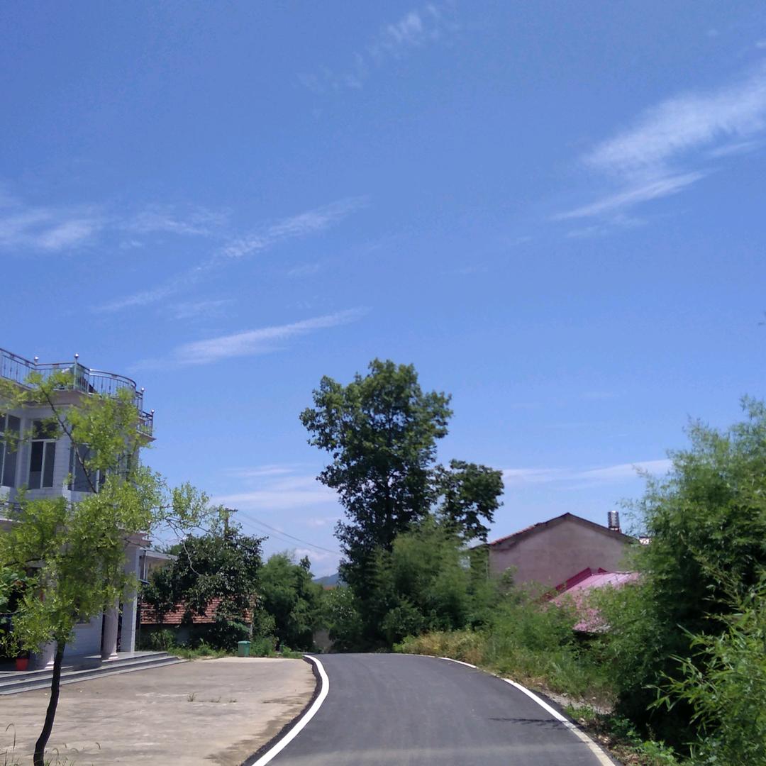 阳光总在风雨后