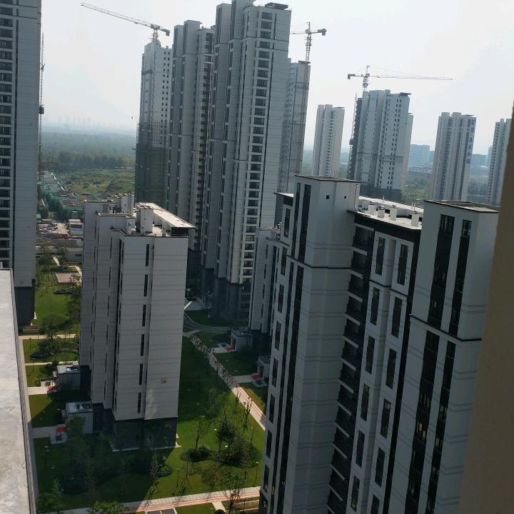 吴悔人生