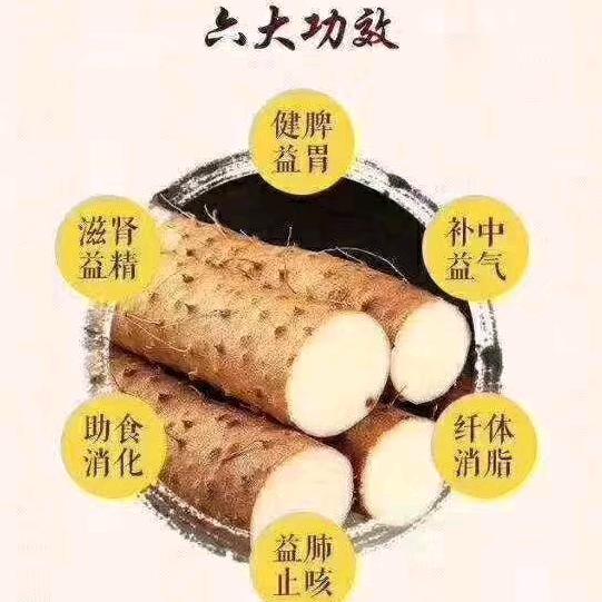 山西平遥岳北村三来长山药，蜜薯，香菜