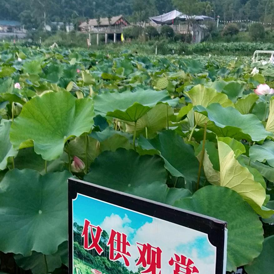 珍惜今世缘
