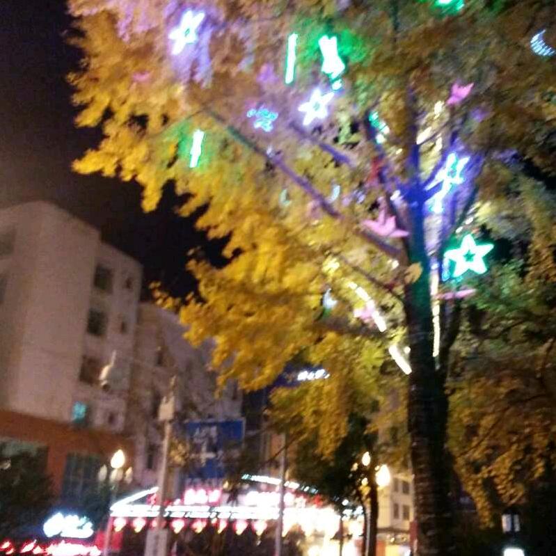 燕子蛋糕店