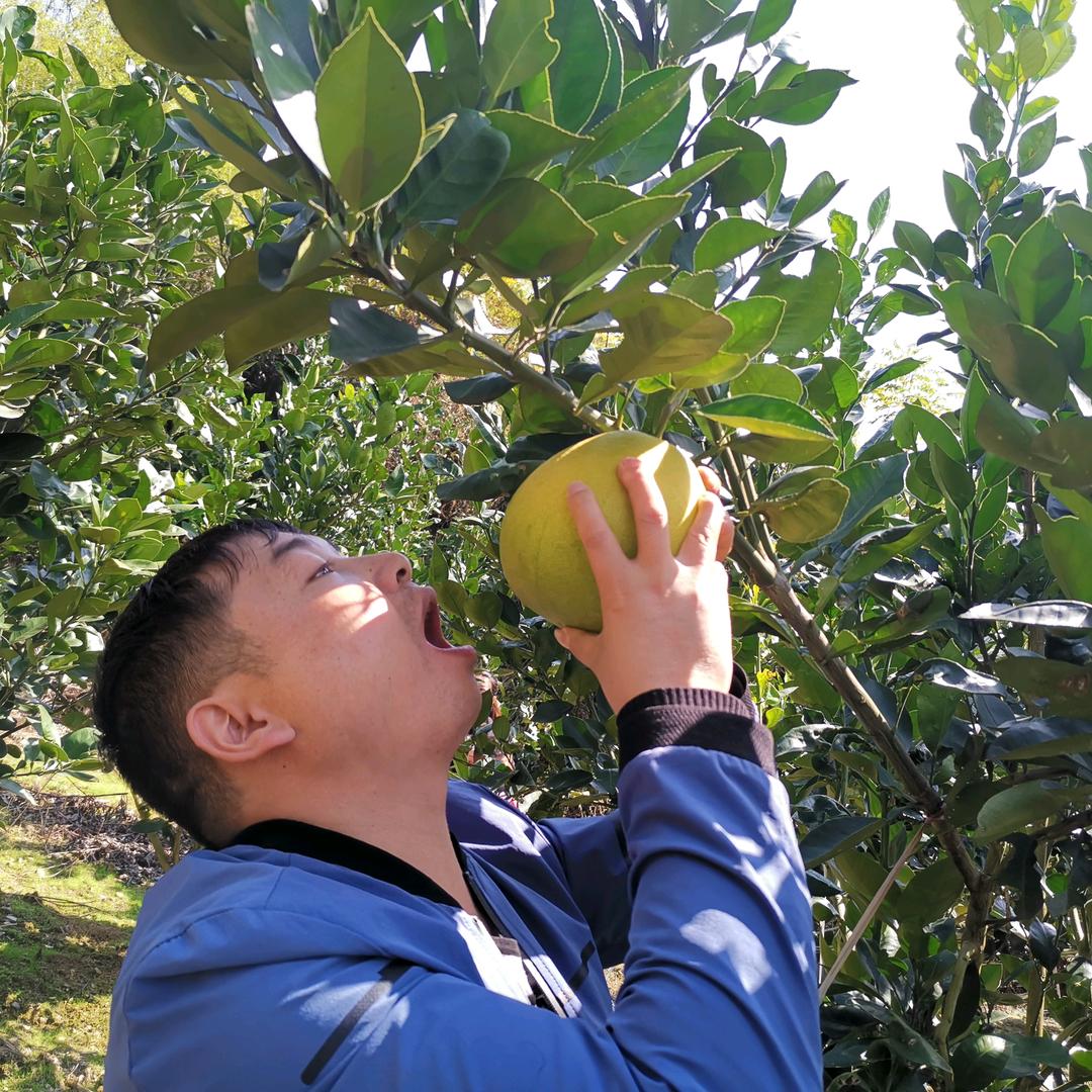 巴三哥🎙️伤感情歌