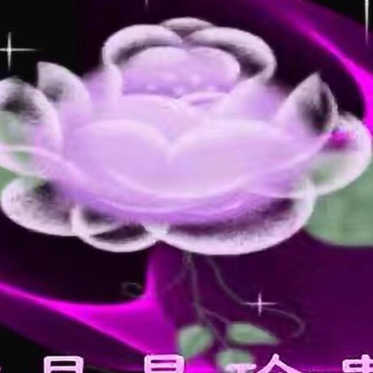 乐梅