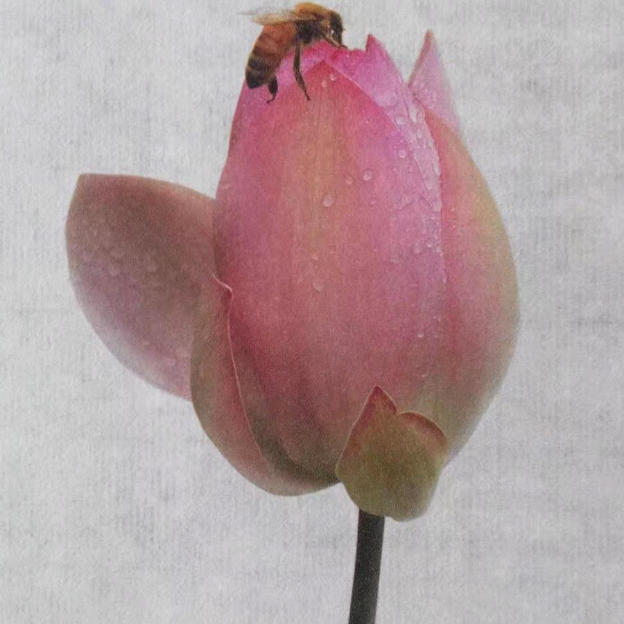 向阳而生♥拥抱自己