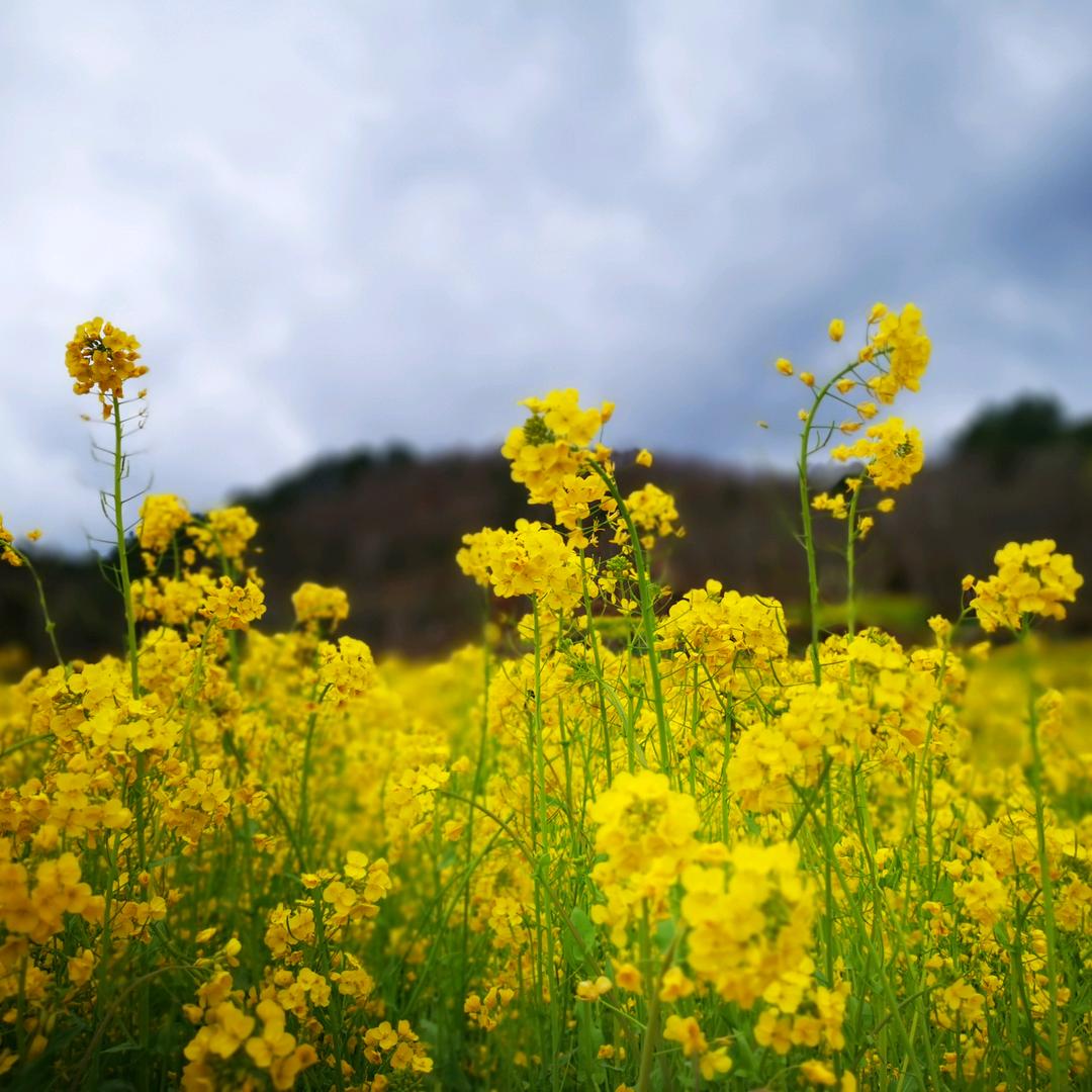 💞࿐姐ღ᭄是限量版᭄💞࿐