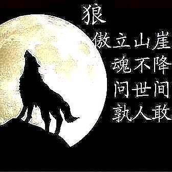 月夜啸狼