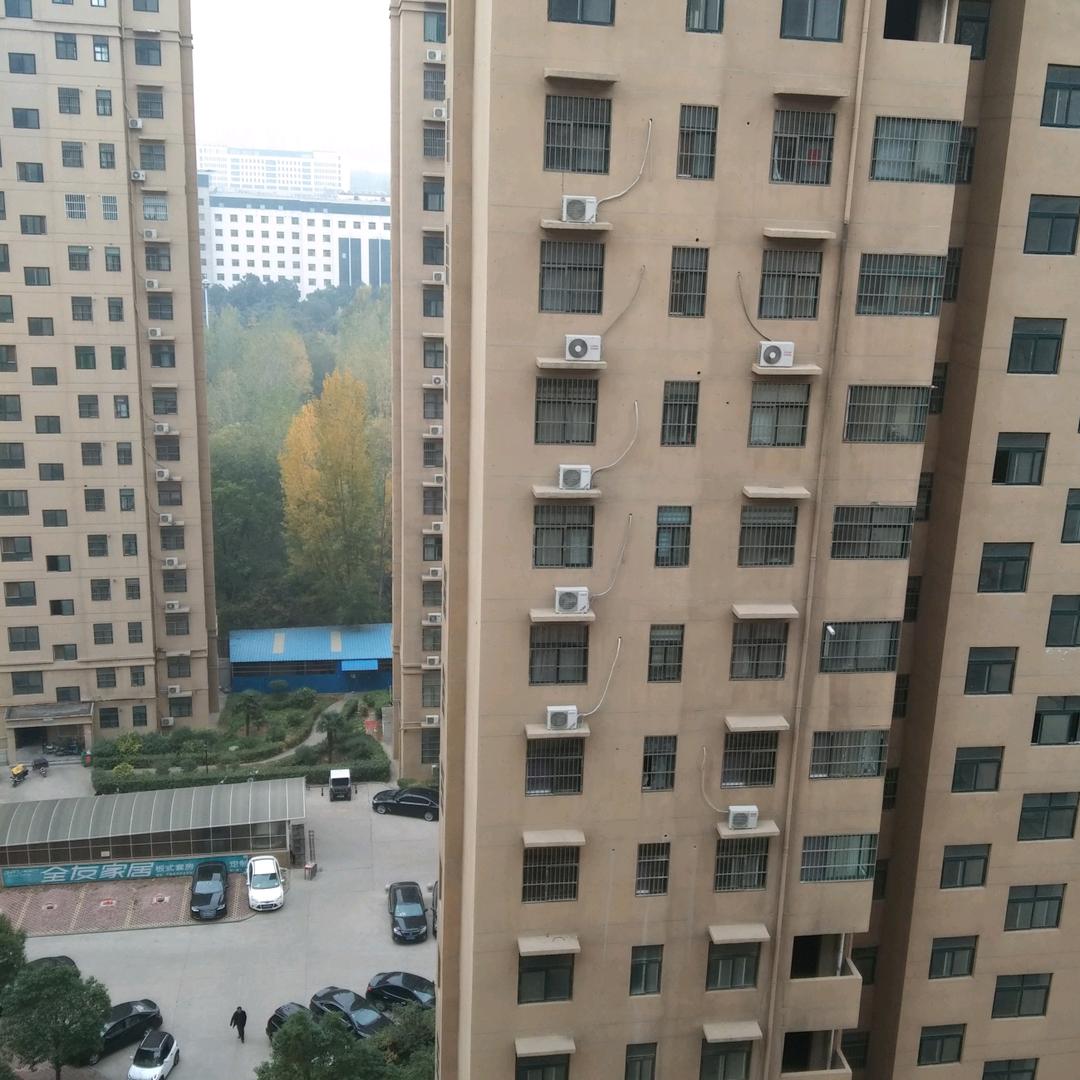 天天开心