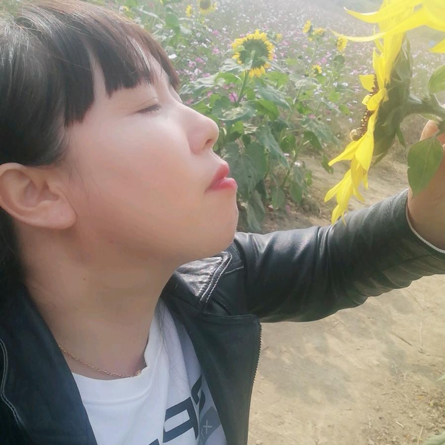 嵇书芹