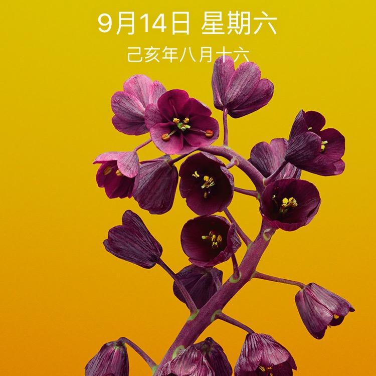 冬天的我