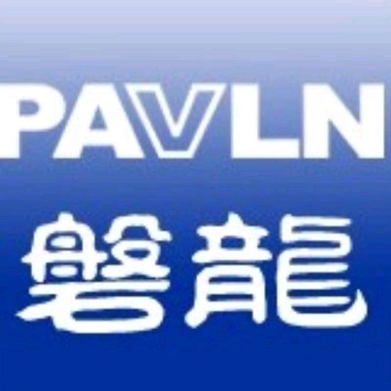 磐龙安全技术有限公司
