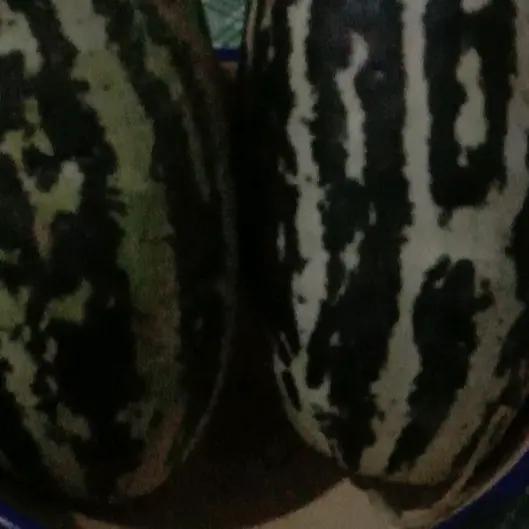 执着