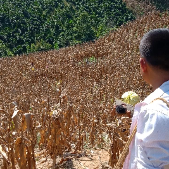 麻总