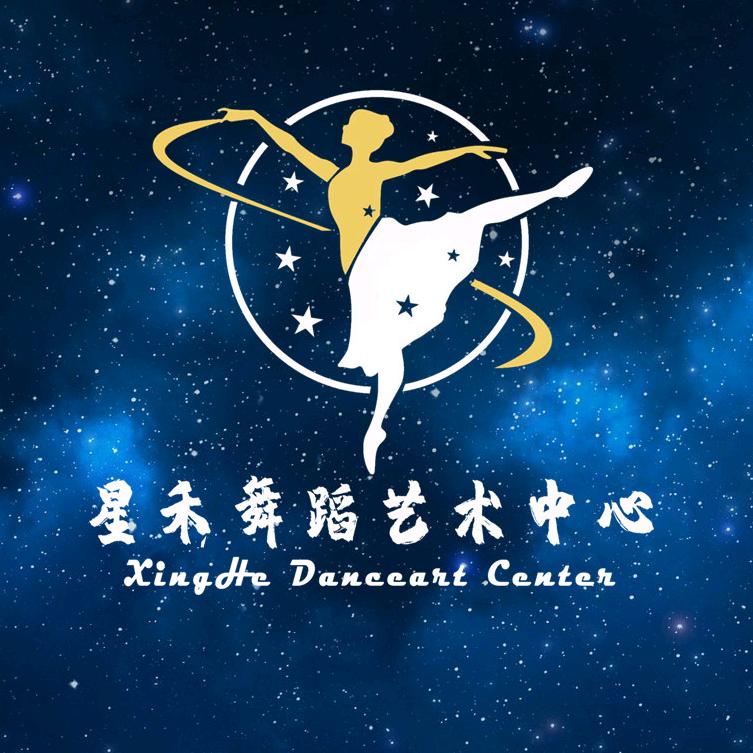 天津星雨星禾艺术培训学校有限公司
