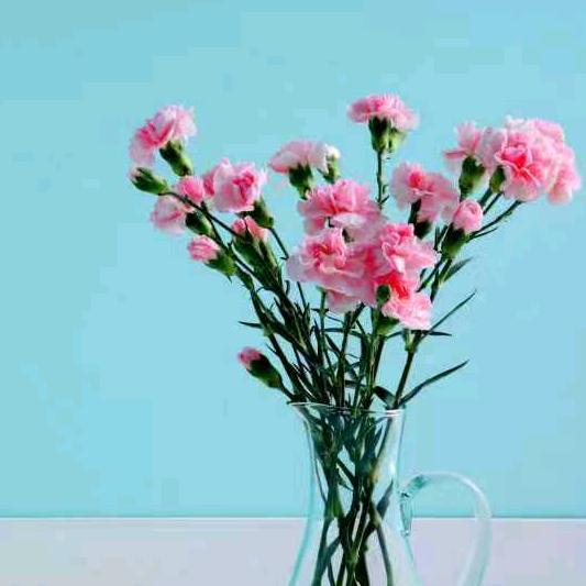 开心快乐每一天