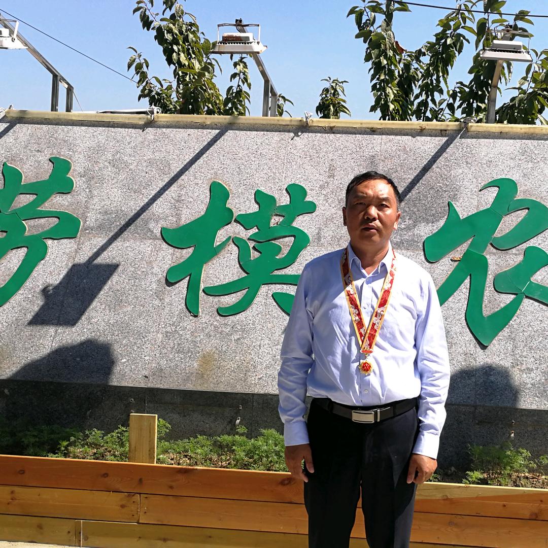 劳模刘卉农技交流