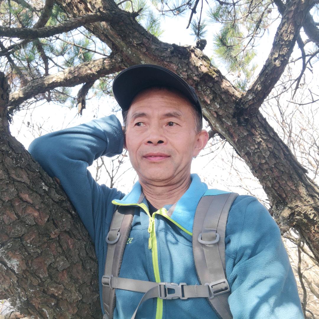 我想飞
