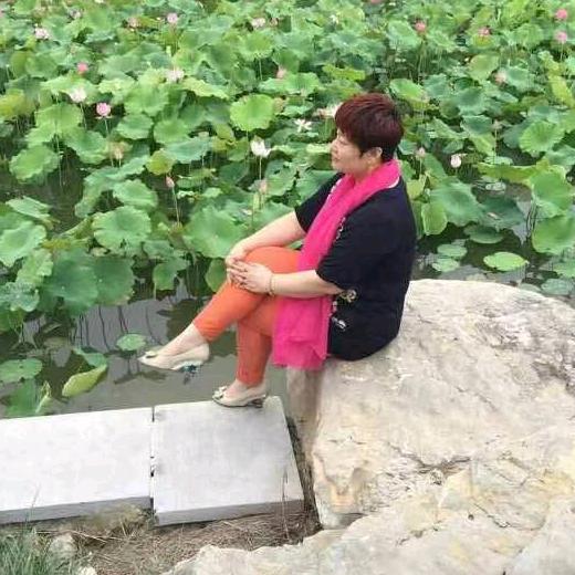 吉星照高赵