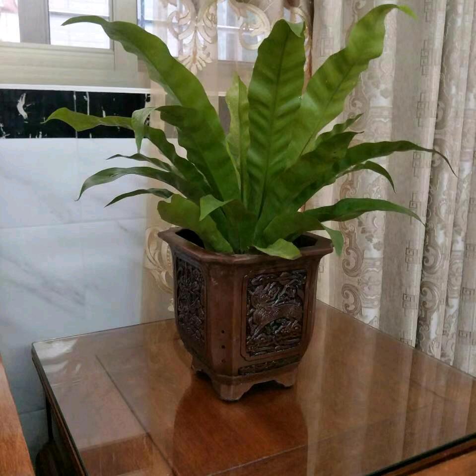 岁月不留人