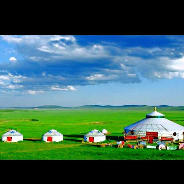 骑着骆驼逛酒吧🐪