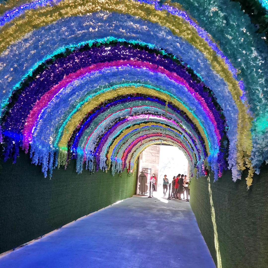 芙蓉68
