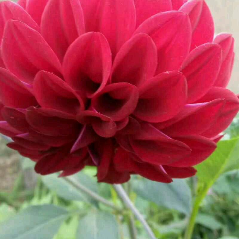 🥀( ͡°❥ ͡°)一切随缘💫