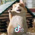 A    张小四