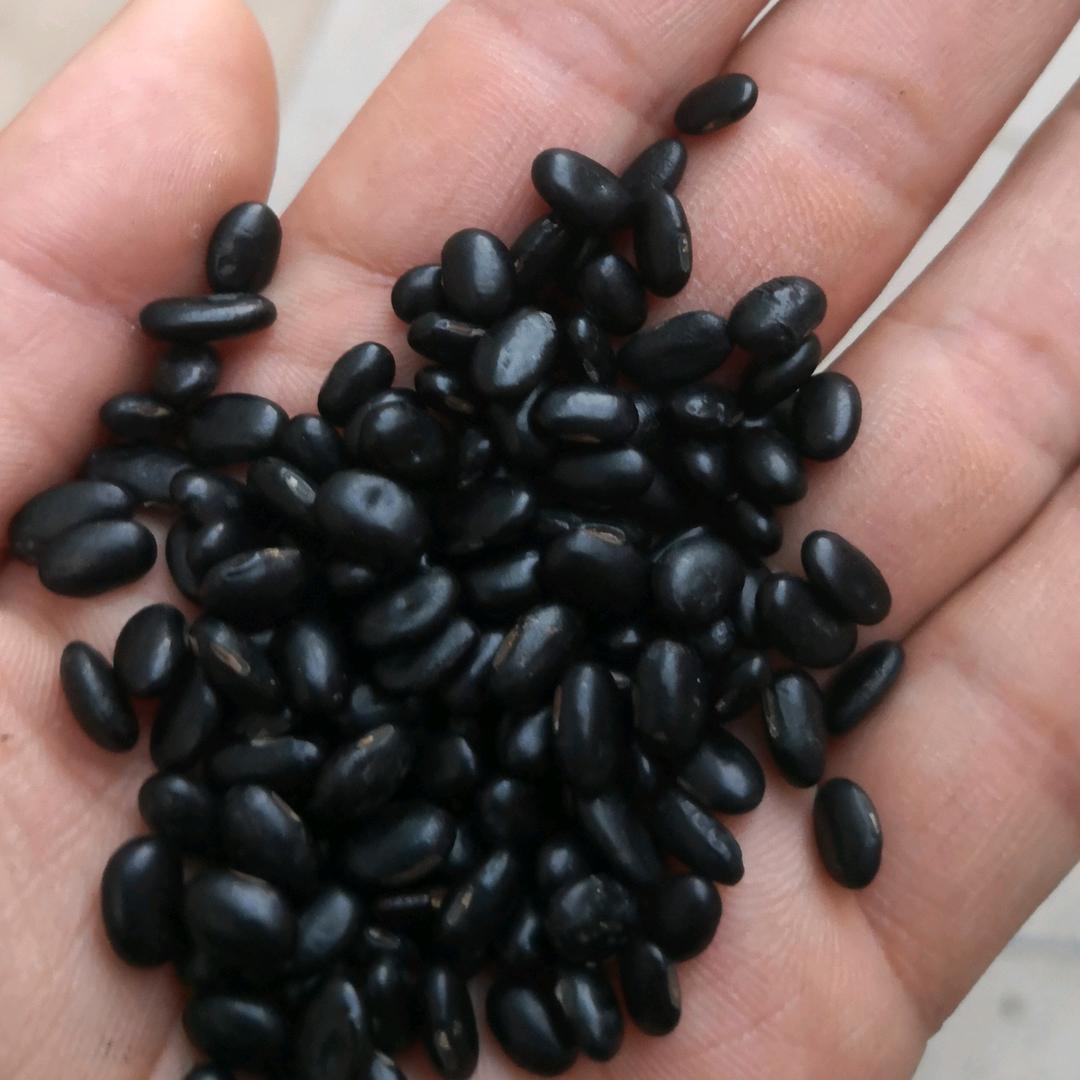 大山杂粮