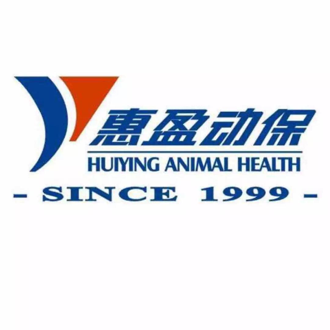 那一剑刺的太温柔