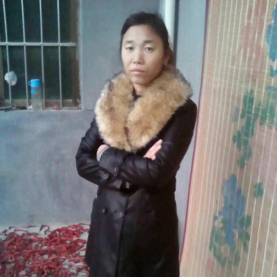 李雪秦