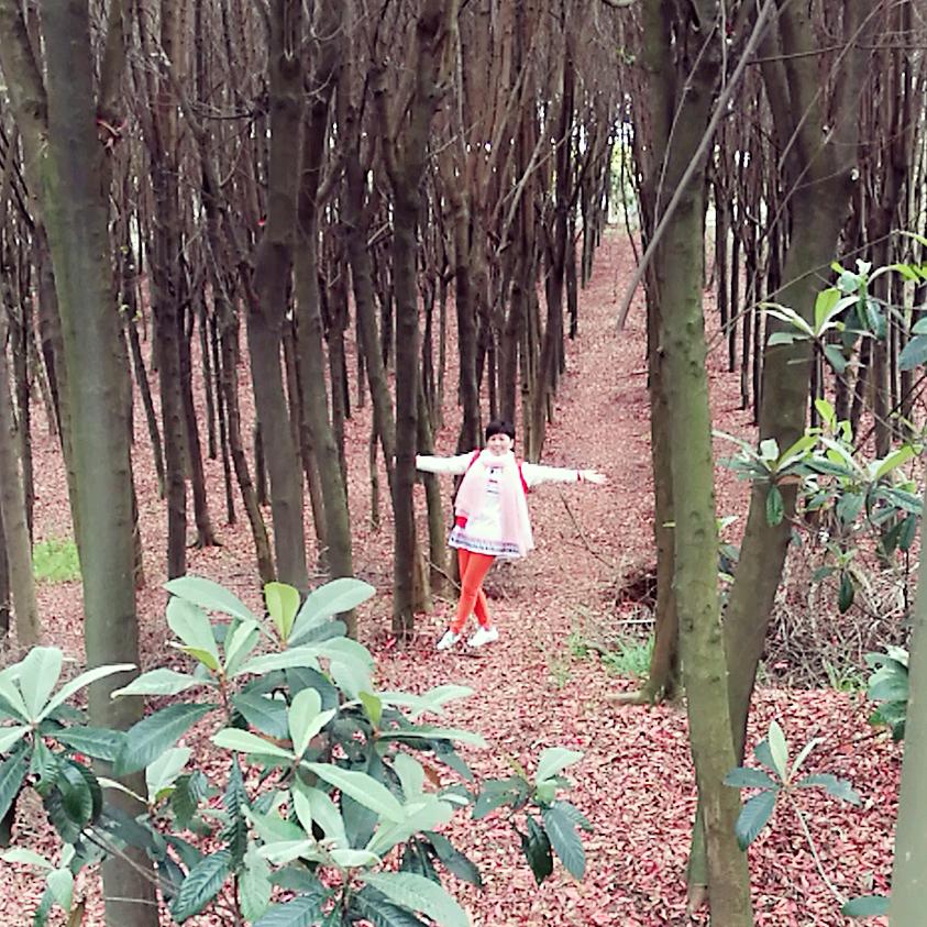 秋天