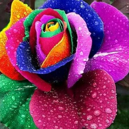 用户8484863864003李淑宁