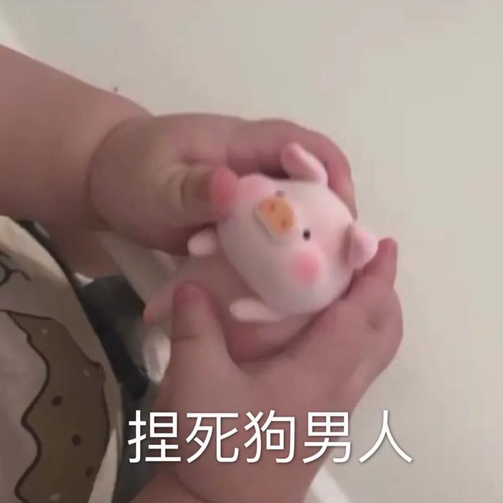 汪了个喵~